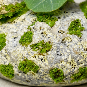 Plante succulente artificielle en forme de spire de désert, pot en pierre, style jardin zen, décoration d'intérieur, centre de table de bureau, idée cadeau XL - Product Image 3