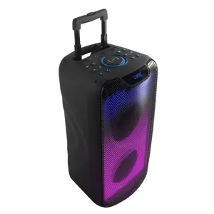 Haut-parleur Rechargeable professionnel stéréo, 2022, double système de PA de 8 pouces, puissance RMS de 100 watts, haut-parleur de fête avec lumière de flamme