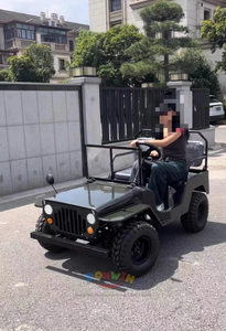 Mesin Gas otomatis 4 tak 150cc yang diterima dari pabrik untuk dewasa dengan 2 kursi - Product Image 4