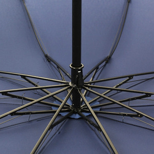 Paraguas Manual Grande de 10 Varillas con Estructura de Hierro, Plegable en Tres Partes, Protección Solar y Contra la Lluvia, para Viajes - Product Image 1