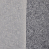 Entoilage thermocollant en polyester non tissé à points (Pes Dot) pour vêtements, très demandé
