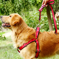 Vente chaude Durable Pour Animaux De Compagnie Harnais et Mis En Nylon Ensemble Harnais et Laisse Pour Chien pour les Chiens Moyens et Grands