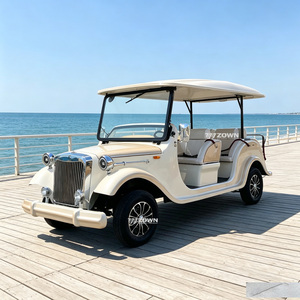 Voiture de tourisme électrique au lithium, style vintage, à l'aspect personnalisé, chariot de tourisme classique pour le transport dans les propriétés communautaires - Product Image 1