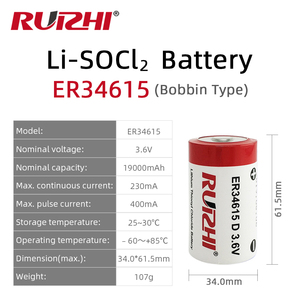 RUIZHI ER34615-2 + RHC 1550 3.6V 38Ah D 사이즈 리튬 배터리 팩 배터리 ER34615 - Product Image 6