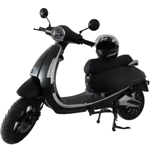 Yeni düşük geliştirmek adedi şık Escooter 60V 3000W EEC vintage elektrikli motosiklet 45km/saat sertifikalı hız