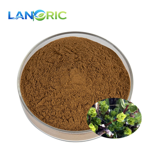 Extracto Natural de Agathosma Betulina en Polvo, Polvo de Hoja de <span class=keywords><strong>Buchu</strong></span>, Extracto de Hoja de <span class=keywords><strong>Buchu</strong></span> en Polvo - Product Image 1