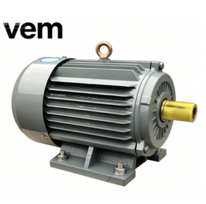 Moteur asynchrone triphasé VEM Schorch 15 kW 18,5 kW 22 kW 8 pôles à fréquence variable avec bobine tout cuivre - Product Image 1