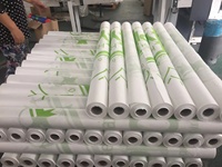 Membrane respirante en polypropylène à trois couches certifiée CE fabriquée par Kangda