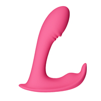 Kabelloser Ferngesteuerter Tragbarer Bullet-Vibrator für Frauen Slip-Sexspielzeug App-gesteuerter Klitoris-G-Punkt-Stimulator für Erwachsene