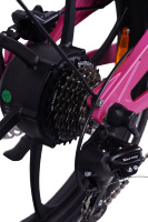 Vélo électrique pliable de 20 pouces, alliage de magnésium, freins à disque hydrauliques, moteur 36/48V, 250/500/750W, 7 vitesses avec écran LCD
