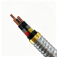 Cable ESP de Cobre QYHEQY Resistente a Altas Temperaturas, Aislamiento EPDM, Anticorrosión por Aceite y Gas, Clasificación IP65 para Aceite Pesado