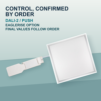 Panneau LED sans vis 600x600 40W CCT unique DALI-2 Push Eaglerise pour projets commerciaux