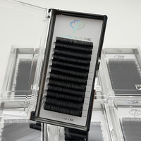 Extensions de cils 6D 8D Smart Bloom, volume B C D, 8-15mm, pour éventail rapide, avec plateaux de pose