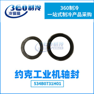 Joint d'étanchéité York 534M0163G04 pour systèmes de réfrigération et de climatisation, pièces anti-corrosion - Product Image 4