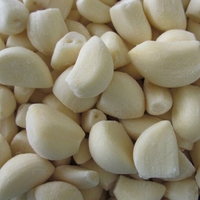 Vente en gros à bas prix de gousses d'ail fraîches pelées de qualité alimentaire, provenant de l'usine du Shandong pour l'exportation