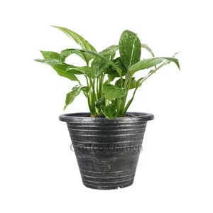 Coffco Annular 9リングプランタープラスチック植木鉢花瓶ガーデン保育園成長ボックスホームデコレーションヴィンテージ用ガーデン用品