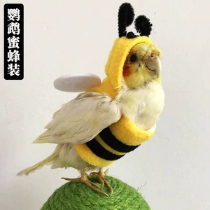 Costume de perroquet en polaire, sweat à capuche chaud, taille S M L, design animal mignon pour oiseaux de compagnie - Product Image 1