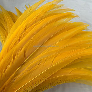 Plumas <span class=keywords><strong>de</strong></span> Faisán Plateadas Teñidas al por Mayor <span class=keywords><strong>de</strong></span> 24-26 Pulgadas (60-65 cm), Plumas <span class=keywords><strong>de</strong></span> Faisán Plateadas Verdes Largas en <span class=keywords><strong>Venta</strong></span> - Product Image 6