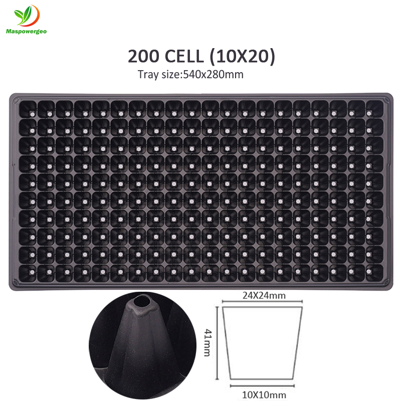 noir : 200 cellules