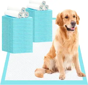 Private Logo Disposable Wholesale Thickened Absorbent Absorb 6-Layer Pet Pee Training Pad
