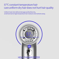 Sèche-cheveux électrique coloré Revair professionnel pour hôtel/maison/voyage