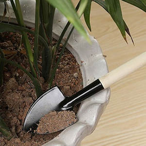 3 pccs सेट पोटेड पौधे छोटे शोवेल गार्डन लोहे के छौने मिट्टी रोपण के फूलों सब्जियों के बगीचे उपकरण - Product Image 5