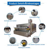 Moteur de machine de torréfaction à revêtement oscillant en acier inoxydable, capacité de 400 kg/h pour la peau de poisson, les cacahuètes, les noix de macadamia, les fèves