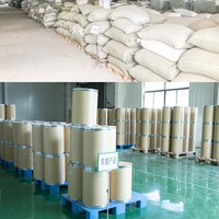 Approvisionnement en vrac Psyllium Seed Husk Extrait de plante Sperme plantaginis Psyllium Husk à vendre à vendre