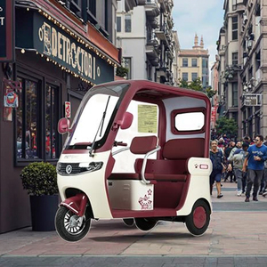 Tricycle électrique pour adultes Metropolis à toit ouvert avec pare-soleil, moteur 650W, batterie 48V, 3 places, écran intelligent double 8 pouces - Product Image 4