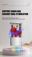Ventilateur holographique 3D de bureau à 360 degrés avec support de table, affichage holographique LED, contrôle par application Wi-Fi pour comptoir de vente au détail