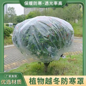 Transparent Pe Frost Protection Bag For Outdoor Plants Flower Pots Winter Garden Use - Product Image 4