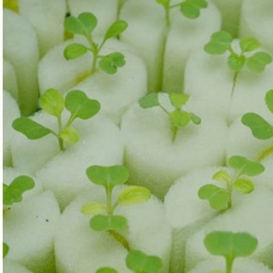 Esponjas de espuma para plantas de cultivo hidropónico agrícola - Product Image 5