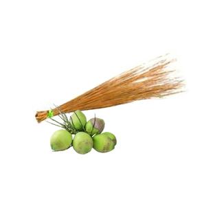 Palitos de Hoja de Coco NATURAL de Alta Calidad a Precio Especial de Vietnam - Material para Hacer Escobas - Product Image 1