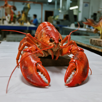 Modèle de statue de homard animatronique personnalisable en silicone et acier pour parcs d'aventure, maisons de jeux, jardins et centres commerciaux