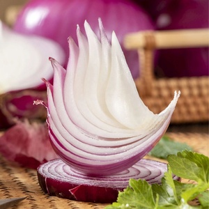 Bán buôn tươi chất lượng cao hành tây đỏ Nhà cung cấp số lượng lớn chất lượng tốt cây trồng mới nóng bán hành tươi với giá cả phải chăng - Product Image 2