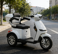 Scooter de mobilité populaire de haute qualité, motos électriques à grande capacité, déplacements pratiques, trois roues