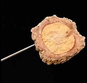 Isatis <span class=keywords><strong>Root</strong></span>: giải pháp tự nhiên cho các bệnh liên quan đến nhiệt và viêm họng Radix isatidis chiết xuất - Product Image 3