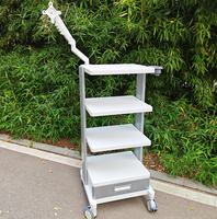 Chariot endoscopique exclusif pour hôpital, organisateur de câbles, roulettes verrouillables et prise intégrée, chariot pour appareil vidéo médical
