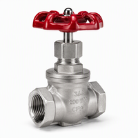 Vanne à opercule filetée en acier inoxydable 201 304 316 PN16, filetage NPT BSP femelle, pour coupure de conduite d'eau, pleine ouverture, surface lisse