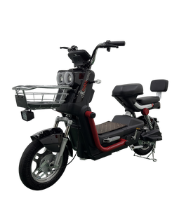 Bicicleta Eléctrica 250W Cafe Racer 48V con Asiento Calefactable, Batería, Bomba y Neumáticos Nuevos para Montaña, con Remolque, en Egipto - Product Image 6