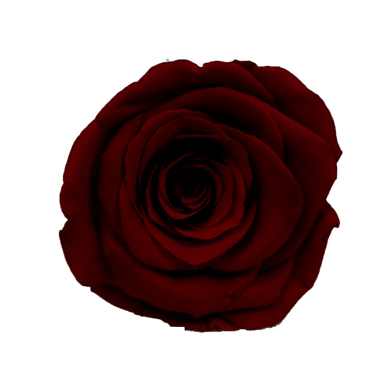 Dark Red