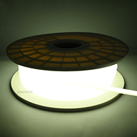 Bande LED COXO 120V sans driver, haute tension, SMD COB, 220V 110V 30m 30 50 pieds, extérieur, 230V 220V 100m