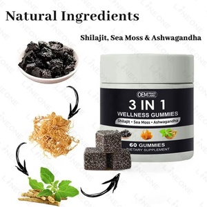 Gomitas de Shilajit con Ashwagandha y Musgo Marino, Suplemento de Extracto Herbal Natural de Marca Privada OEM - Product Image 5
