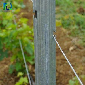 Piquets de vigne galvanisés à chaud à prix avantageux, type Y/T, poteaux de treillis métalliques pour vignoble - Product Image 5