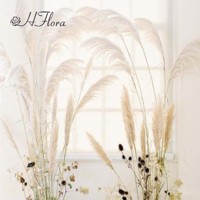 HFlora bunga dekorasi penjualan laris bunga kering Pampas warna-warni rumput Pampas besar untuk dekorasi pernikahan & Rumah