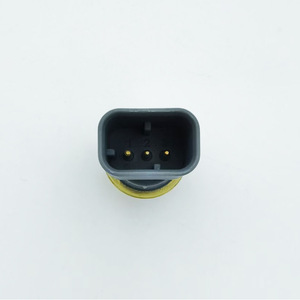 เซ็นเซอร์วัดแรงดันของรถตักดิน Caterpillar รุ่น 248-2166 แบบเกจ พร้อมเกลียวติดตั้ง อะไหล่รถขุด - Product Image 2