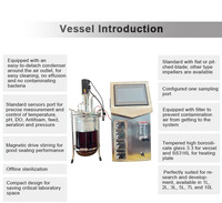 Fermenteur biologique de qualité supérieure Photo-bioréacteur d'algues Bioréacteur de fermenteur d'acide ascorbique en 3L