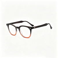 Lunettes Rétro Rondes Anti-Lumière Bleue SM23046 - Monture PC Légère avec Verres en Résine Transparente pour Hommes et Femmes (5 Couleurs)