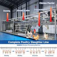 Ligne complète de traitement de volailles pour usine avicole, machine d'abattage Plug and Play 800BPH avec échaudeuse, plumeuse et éviscérateur inclus