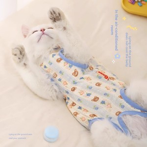 Vêtements pour chat : Tenue anti-chute de poils et protectrice du ventre pour chatons Ragdoll, motif dessin animé, couleur dégradée, quatre pattes, style été léger - Product Image 2